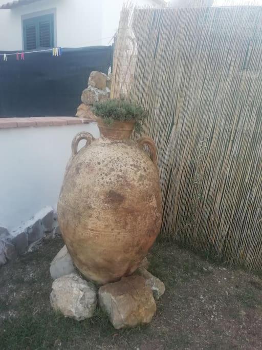 Villetta A Schiera Nei Pressi Del Mare ليفورنو المظهر الخارجي الصورة